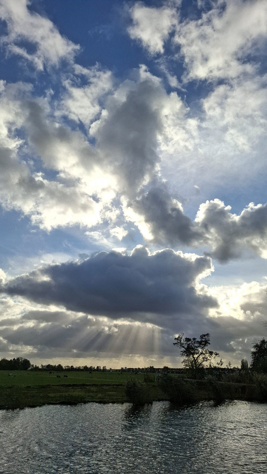Na regen komt zonneschijn. Foto: Sabine Geugjes