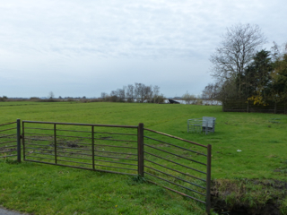 Het bedreigde weiland aan de Aandammergouw in Zuiderwoude.   Foto: Rineke Neppelenbroek