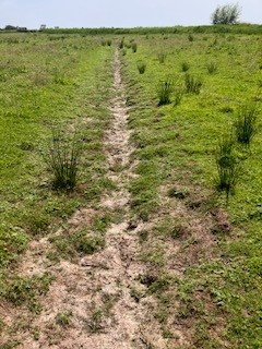 Foto van droge greppels in De Peereboom in Waterland-oost op 26 mei jl.